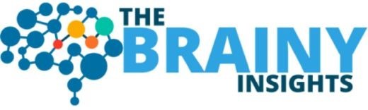 Brainy-Insights Logo