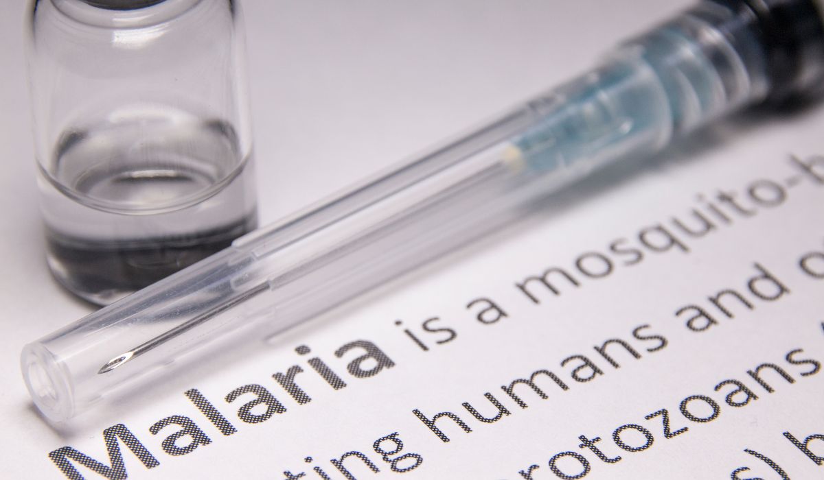 WHO malaria cases and deaths